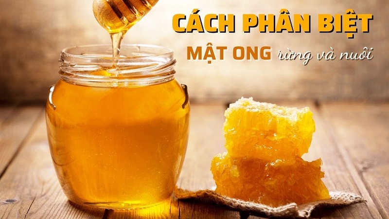 Cách phân biệt mật ong rừng và mật ong nuôi chuẩn xác