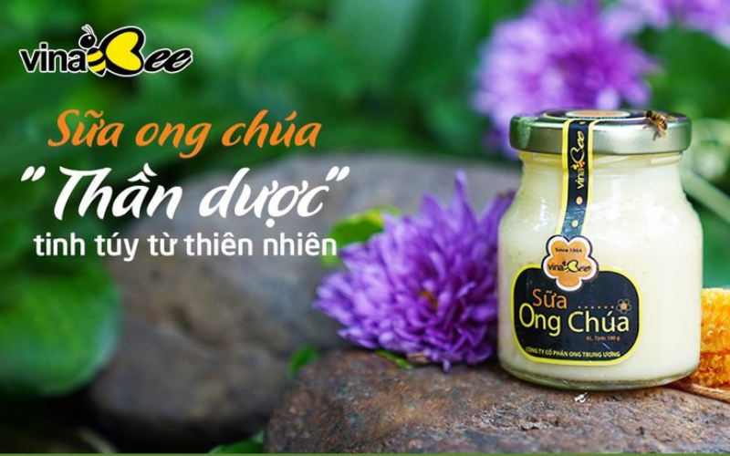 Đặc điểm và tác dụng của sữa ong chúa hoa nhãn